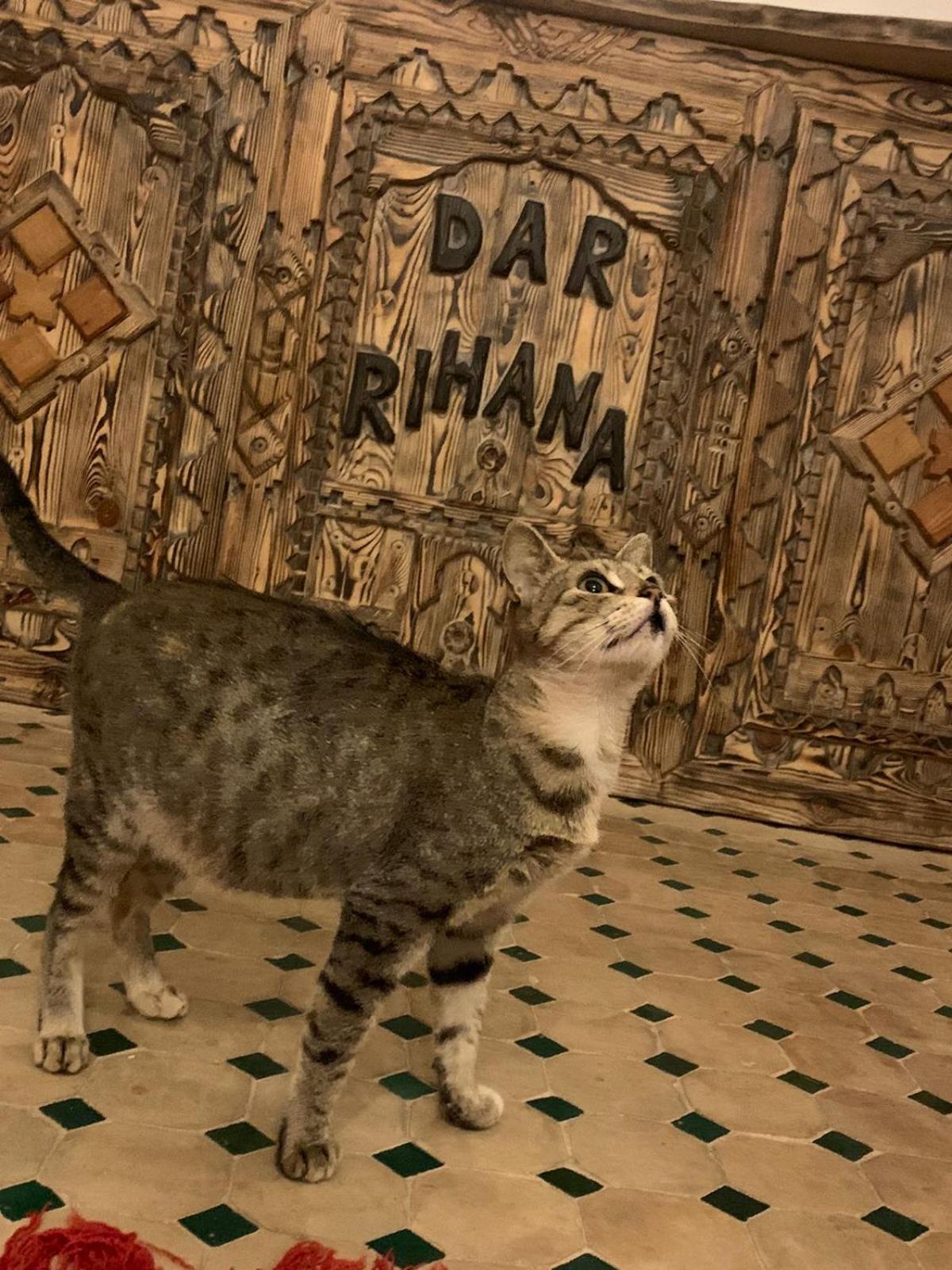 Dar Rihana Dades Ait Idair Luaran gambar